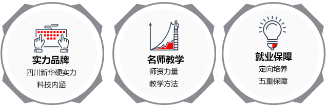 新华电脑学院