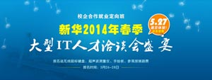 2014 新华大型IT人才洽谈会